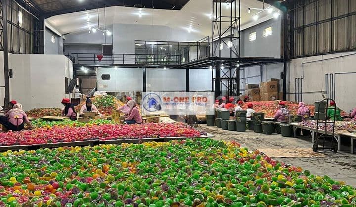 Di JUAL GUDANG AMBARAWA JAWA TENGAH 1127 m