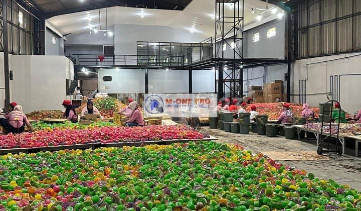 Di JUAL GUDANG AMBARAWA JAWA TENGAH 1127 m