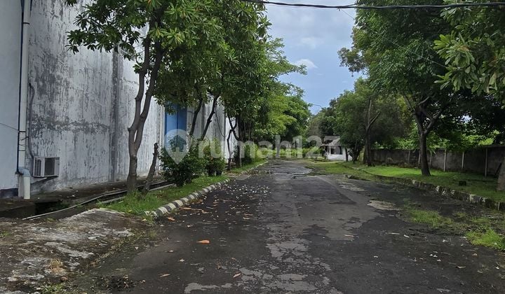 Di Jual Pabrik Serang Banten