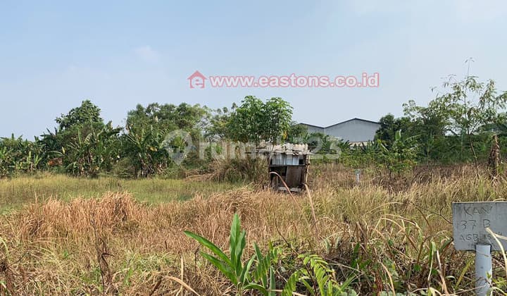 Dijual Tanah Daerah Bogor, Area Sejuk Kg004835