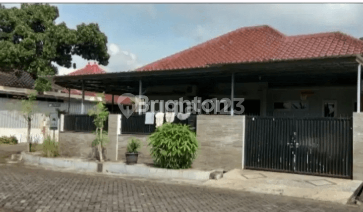 Manyar Tirtoyoso is amazing, the price has just dropped.