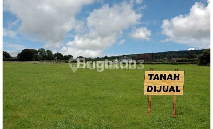kavling tambak medokan ayu