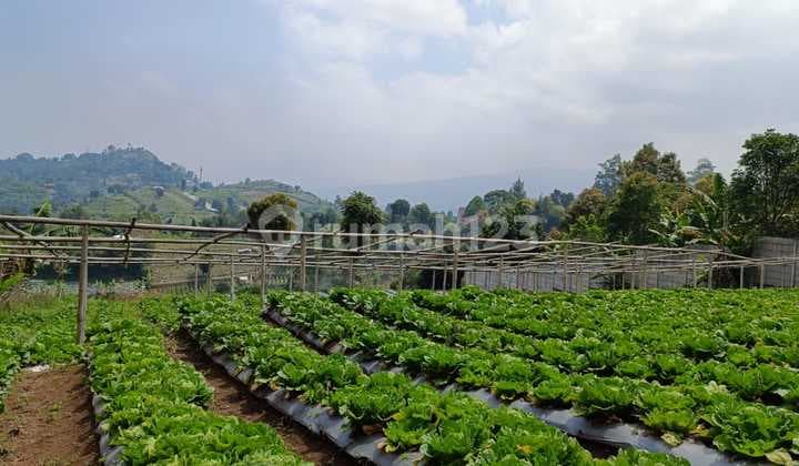 Kavling full view di dago Giri cocok untuk villa,rumah tinggal,atau invest