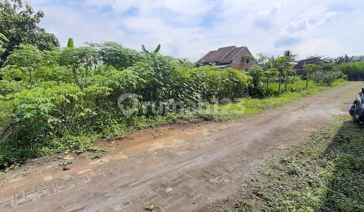 Tanah SHM Murah Tamanharjo Singosari Malang Dijual B.u Dkt Smpn 3