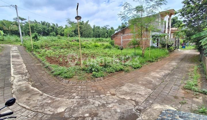 Tanah Murah Bodean Toyomarto Singosari Malang Jual Edisi B.u Poll