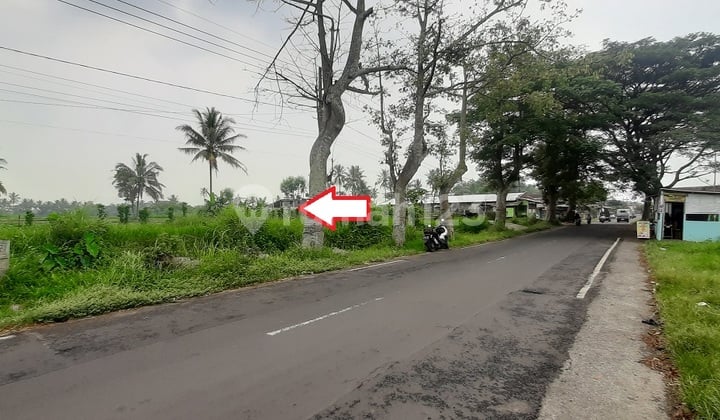 Banjarejo Pakis Malang Porous Land for Sale Cheap Quick Cash Sale Area 844 m2