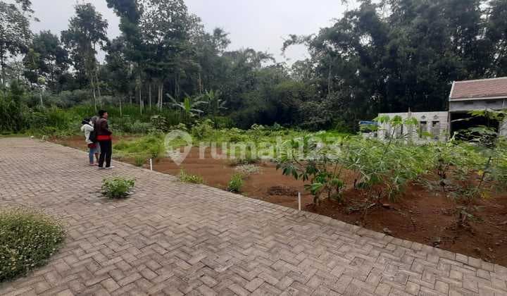 Tanah Kavling Murah Kedungrejo Pakis Malang Dekat Pasar Sayur