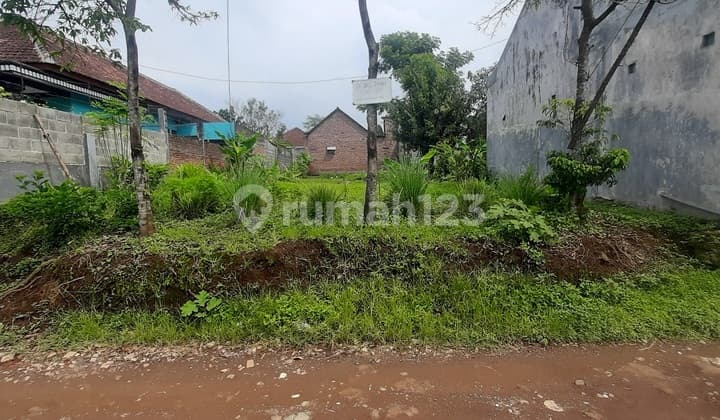 Tanah Murah Candirenggo Singosari Jual Cpt Edisi B.u Dkt Puskopad