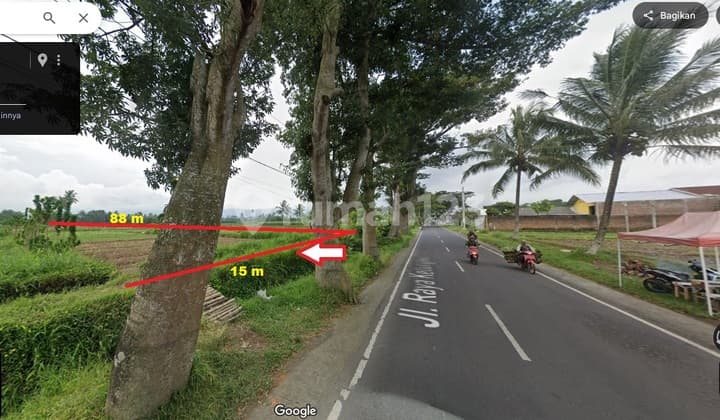 Tanah Murah Poros Kedungrejo Pakis Malang Dijual Cpt B.U L 1322m2