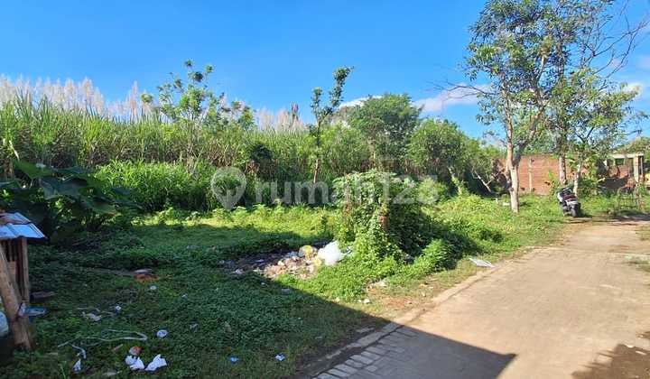 Tanah Murah Genitri Tirtomoyo Pakis Dijual Cpt B.u Poll Dkt Araya