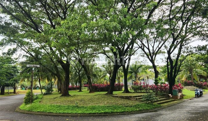 Termurah Kavling Hadap Timur Depan Taman Cluster Divena Dehsna The Avani Bsd