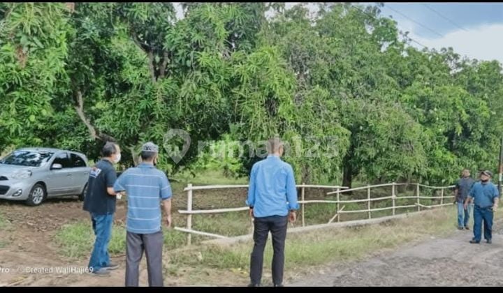 Tanah Cocok Untuk Perumahan Di Kertajati Dekat Bandara