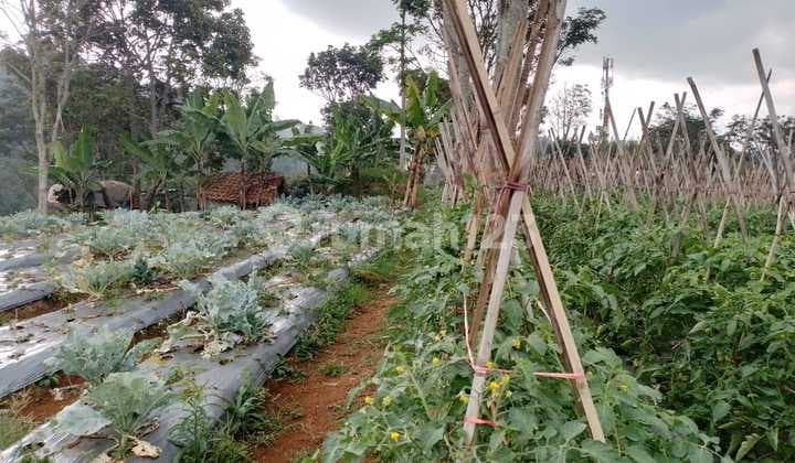 Tanah Luas di Dago Giri dengan View