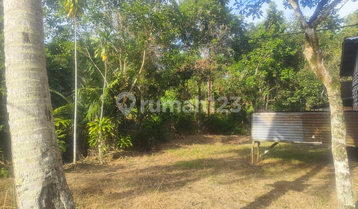 Dijual Tanah Perumahan 2500m2 Jln Sekunder Kariangau Km 5