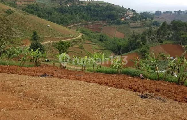 Dijual Tanah di Dago Pakar Pinggir Jalan Dekat Dago Pakar Resort