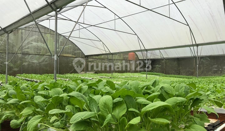 Tanah 2.855 m² Tamansari, Rumpin, Bogor Dekat Bsd