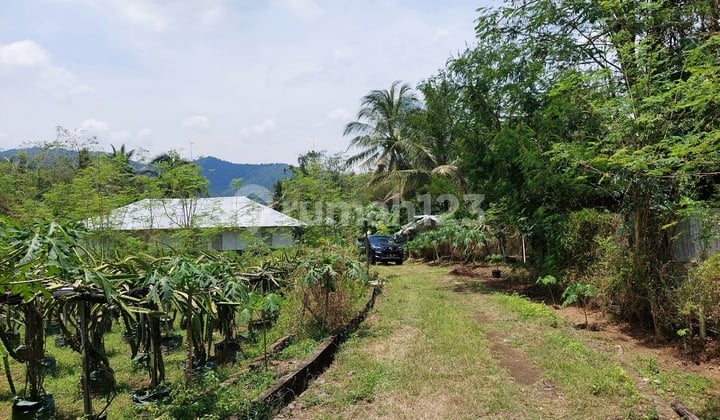 Tanah Sertifikat Hak Milik 7.714 m² Cikerai, Cilegon