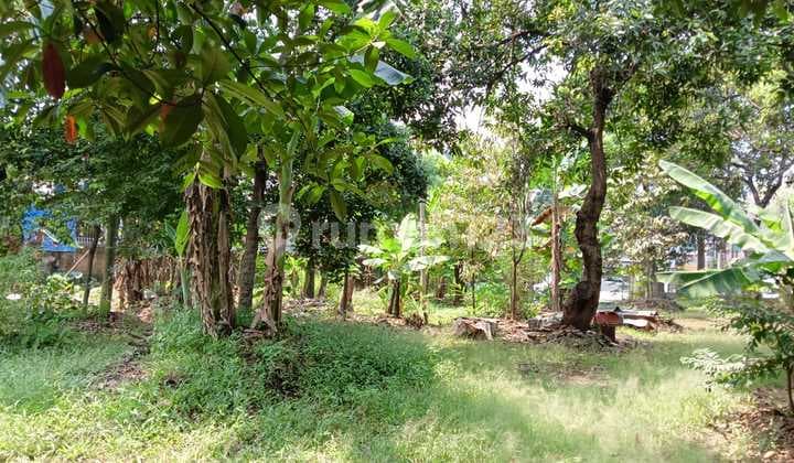 Tanah SHM 2.590 m² Jl Malaka, Cilangkap, Munjul