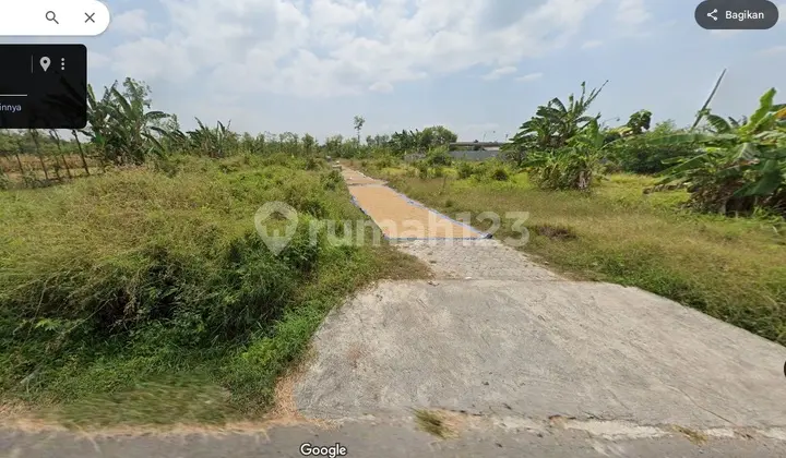 Tanah Tanjung Lamongan Jual Murah cpt B.U Poll 500 m Jl. Provinsi