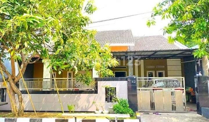 Rumah Murah Perum Kotabaru Driyorejo Gresik Dijual Cepat B.u Poll