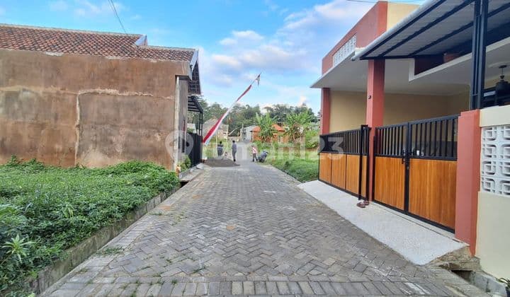 Tanah Murah Sempalwadak Bululawang Jual Cpt B.u 200 M Jl Provinsi