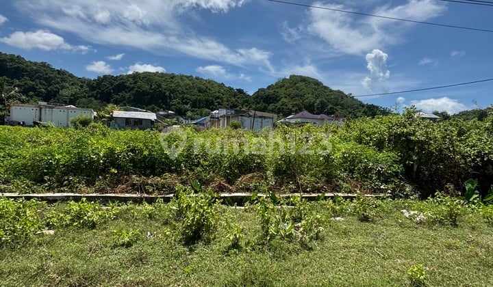 Tanah Datar Pinggir Jalan Raya Aspal 2 Mobil. Lokasi Sangat Strategis. di Waenahi, Gorontalo, Komodo, Manggarai Barat, Nusa Tenggara Timur, Indonesia, 86754, Labuan Bajo Tanah 1000.0 m²