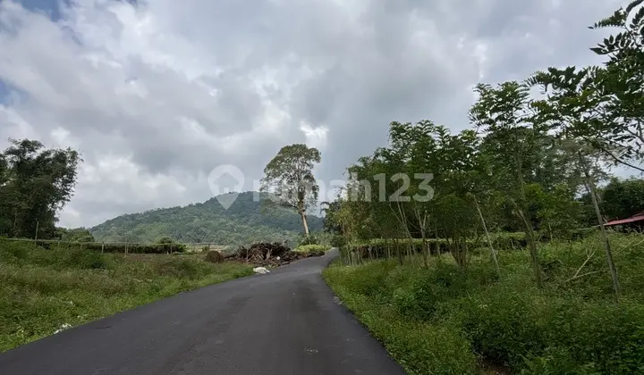Tanah di Woloan dengan Udara Dingin dan Sejuk. dengan View Kota. Cocok untuk Resort dan Villa