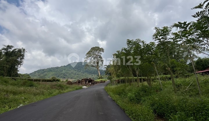 Tanah di Woloan dengan Udara Dingin dan Sejuk. dengan View Kota. Cocok untuk Resort dan Villa