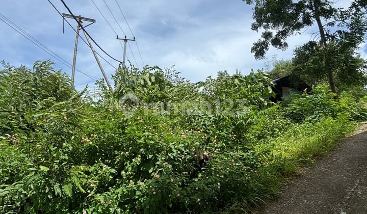 Tanah Persegi Lokasi Strategis Pinggir Jalan Raya. Cocok Untuk Di Dirikan Hunian