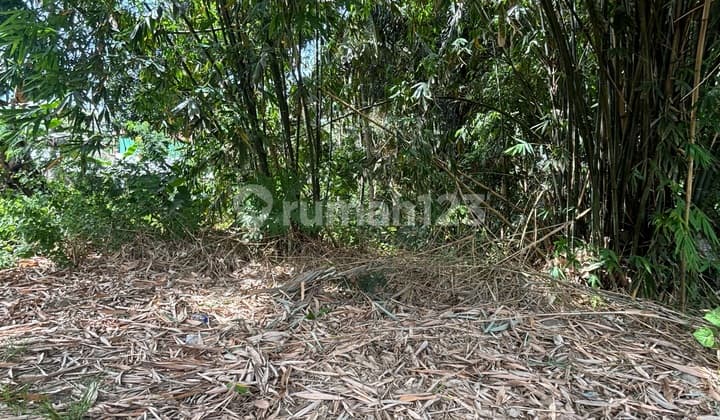 Tanah Premium di Pusat Kota. Lokasi Strategis. Pemandangan Alam dan Kota Labuan Bajo Tanah di Labuan Bajo SHM 19000.0 M²