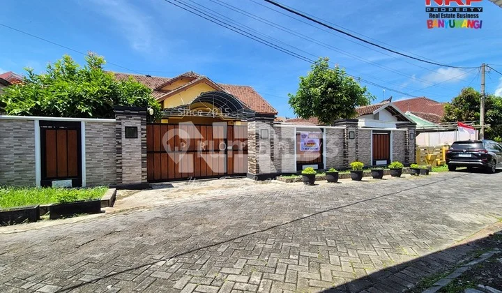 Dijual Rumah Luas, Harga Menarik di Agus Salim - Banyuwangi Dijual Rumah Luas, Harga Menarik di Agus Salim - Banyuwangi