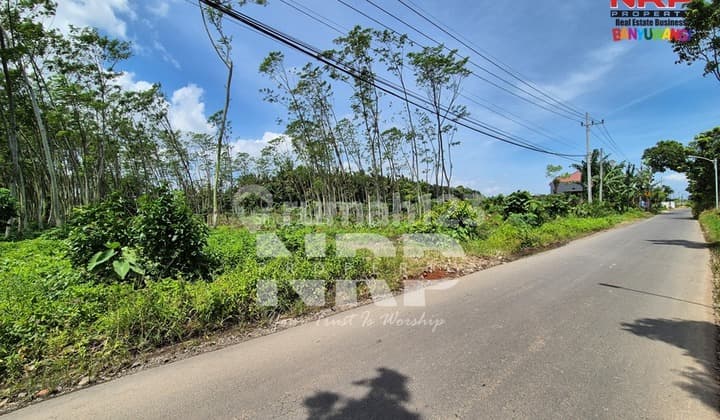 Dijual Tanah Murah dan Luas Siap Bangun di Pakistaji - Banyuwangi