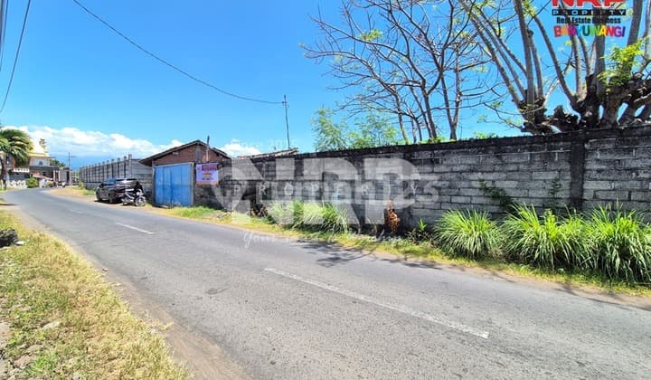 Dijual Tanah Ex Tambak Tengah Kota Karangrejo - Banyuwangi