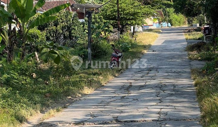 Tanah Murah Dekat Kantor Kelurahan di Tegalgiri Nogosari