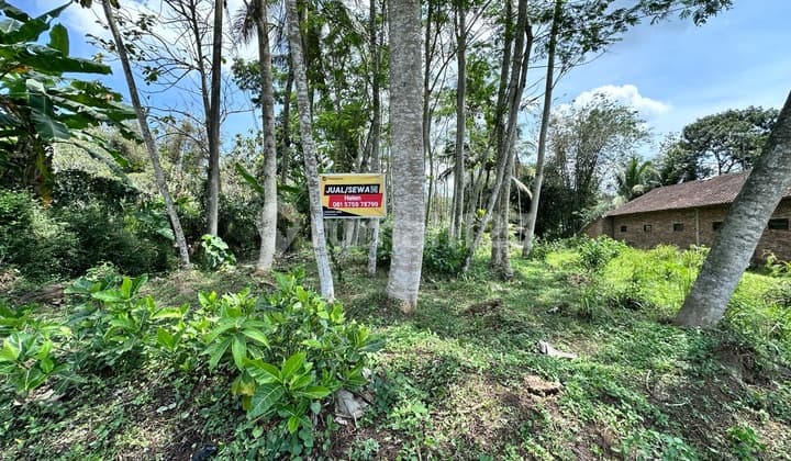 Tanah Strategis di Jalan Raya Kranggan, Pringsurat, Temanggung