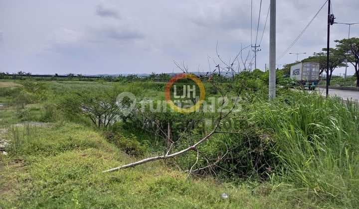 Kavling di Kaliwungu