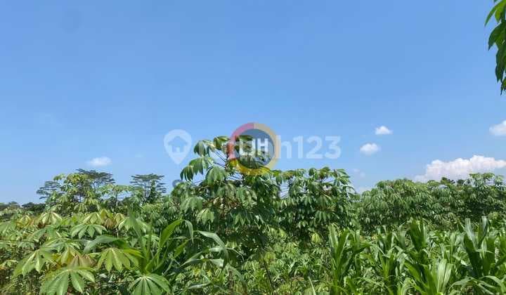 Kavling di Patean, Kendal