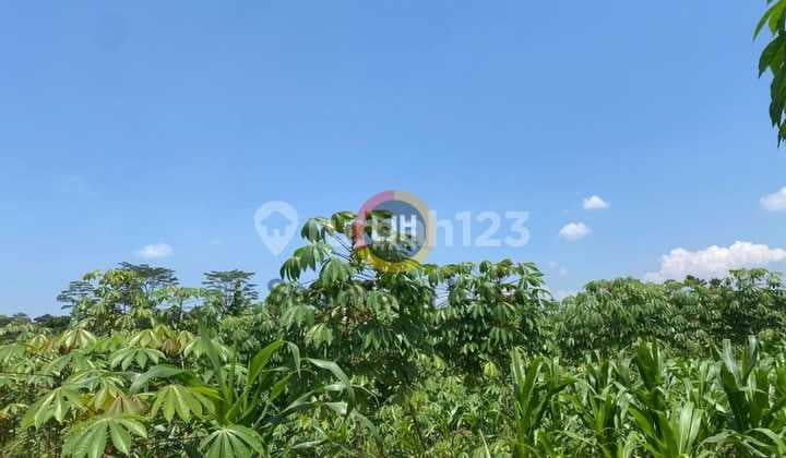 Kavling di Patean, Kendal