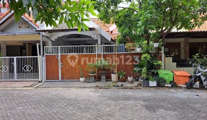 Ykp Pandugo Siap Huni Row Longgar Strategis Dekat Merr