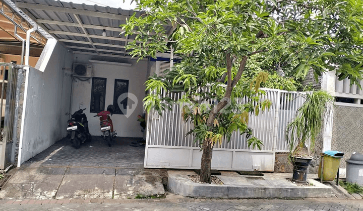 Rumah Terawat Siap Huni Sukolilo Dian Regency Dekat Its dan Pakuwon City