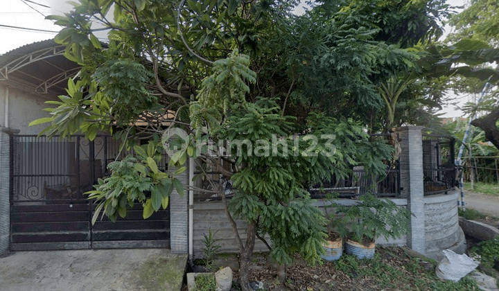 Rumah Medokan Asri Strategis Dekat Upn dan Merr Rumah Medokan Asri Strategis Dekat Upn dan Merr