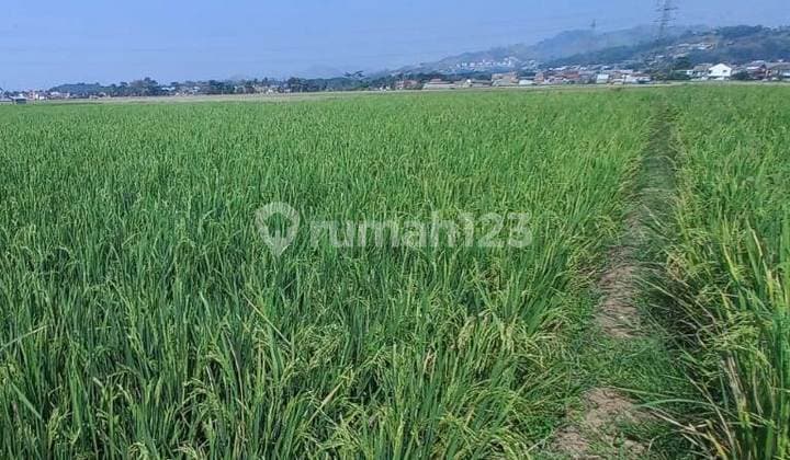 Tanah di Sodong Girang, Luas Strategis Dekat Sman 2 Padalarang