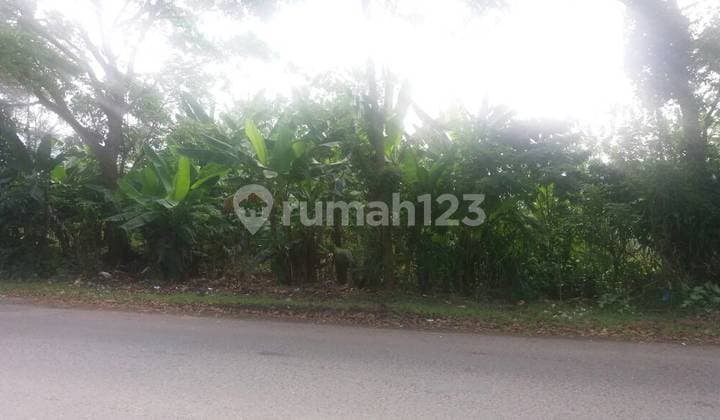 Land in Cianjur, Strategic Border Area of Cianjur Bogor with SHM