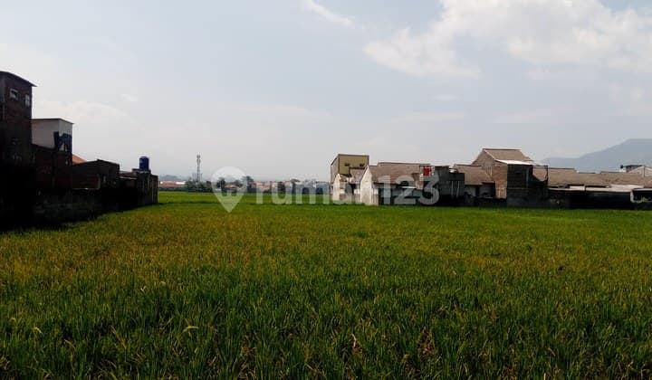 Tanah 3 ha (10 ha) zona kuning, dekat Stasiun Rancaekek #