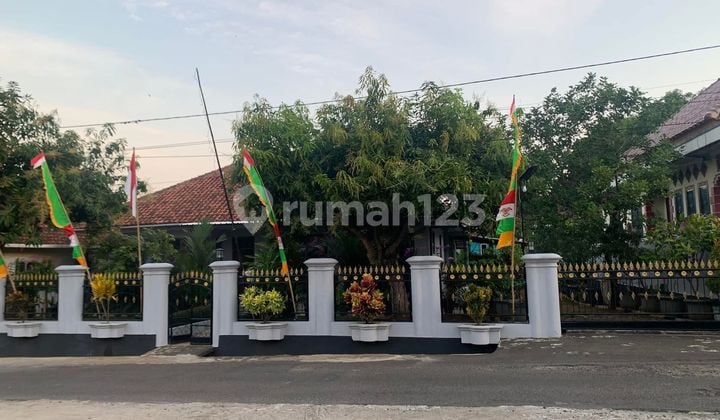 Rumah Terawat & Asri 770 M², Utara Jl. Patimura, Kertaungaran #