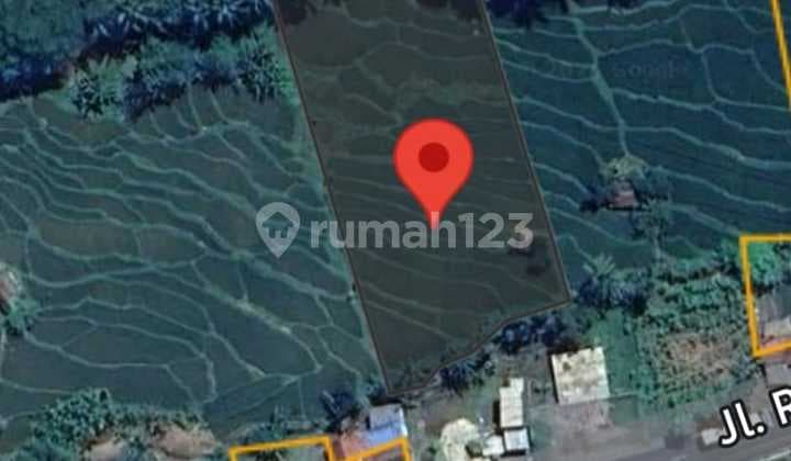 Tanah SHM 2460 M², View Selatan Jl. Raya Rajagaluh Jerukleueut #