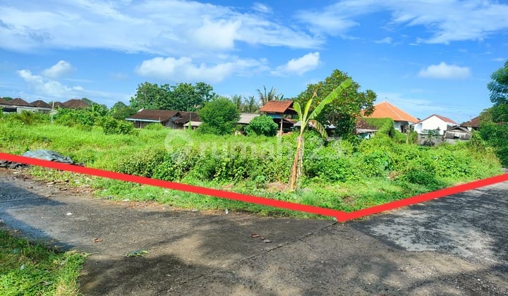 Murah Hanya 2,5 Juta/m2 Dekat Pantai Kedungu