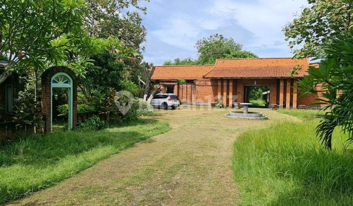 Spacious 5500 M2 Land With Joglo Pavilion