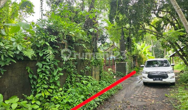 Hanya 3Km ke Monkey Forest Ubud