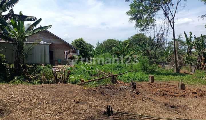 Jual Cepat Tanah Kosong Desa Kabasiran Parung Panjang